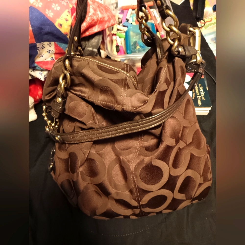 coach Brook  purse